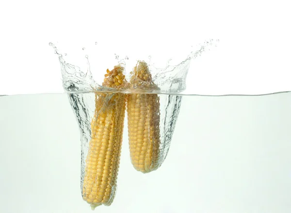 Milho de sobremesa, cair na água com um splash em um fundo branco closeup — Fotografia de Stock