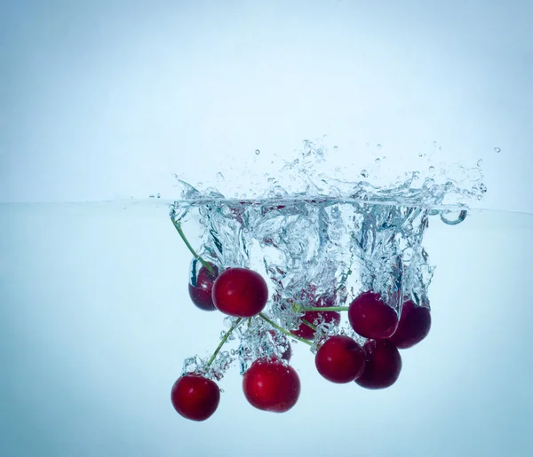 Cherries splashing in water on blue background — Stock Photo, Image