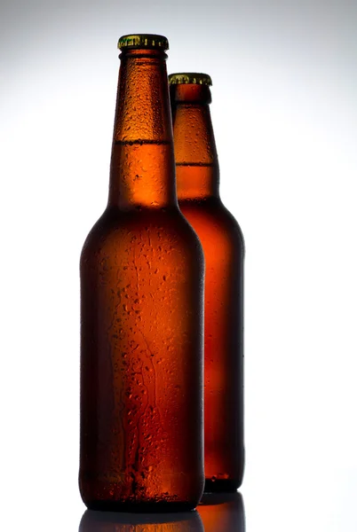 Botellas de cerveza con gotas de agua en blanco — Foto de Stock