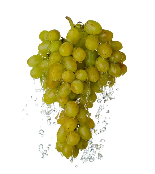 喷雾剂的水中的葡萄。与飞溅的多汁葡萄 — 图库照片