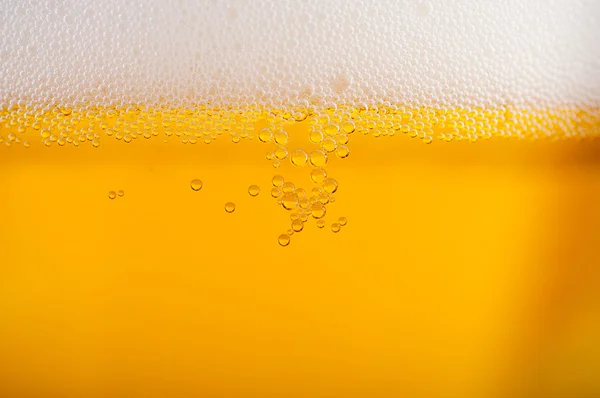 ライトビール背景 — ストック写真