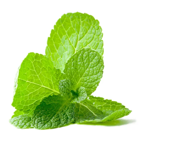 Fresh mint leafs isolated on a white background — Stock Photo, Image