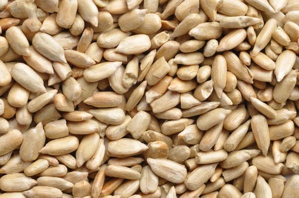 Tessitura dei semi di girasole — Foto Stock