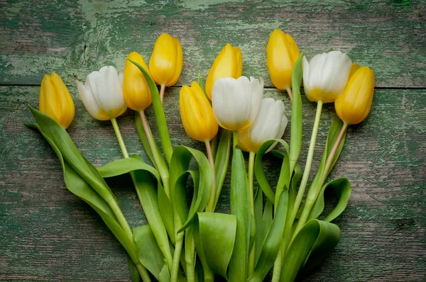 Tulips flowers on wooden — Stock Photo, Image