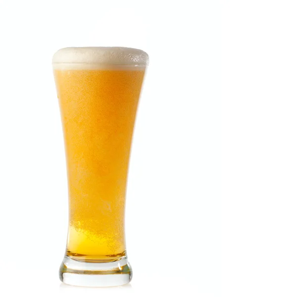 Beer background — Stock Photo, Image