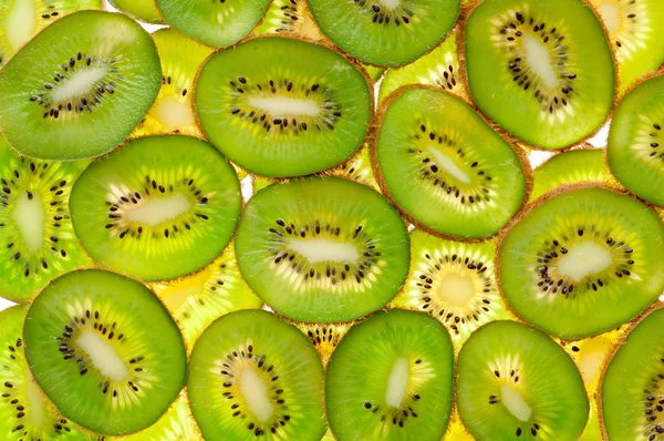 Tranches de kiwi pour fond — Photo