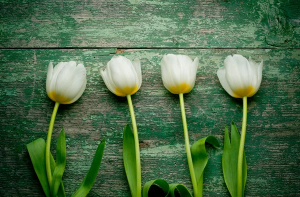 Białe tulipany nad wytarty zielony Stół drewniany — Zdjęcie stockowe