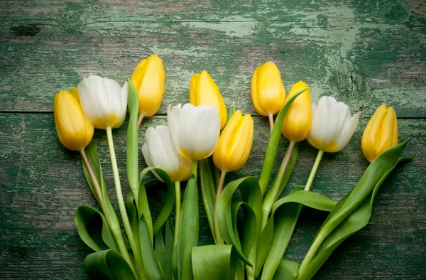 Tulipas amarelas sobre fundo verde de madeira — Fotografia de Stock