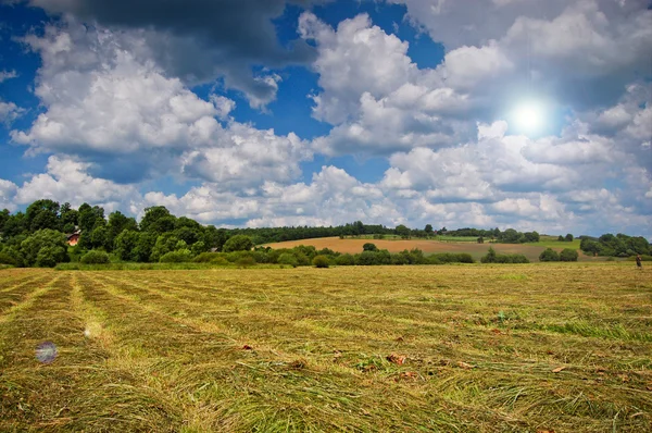 Mown hay with lines spring or summer background — Stock Photo, Image