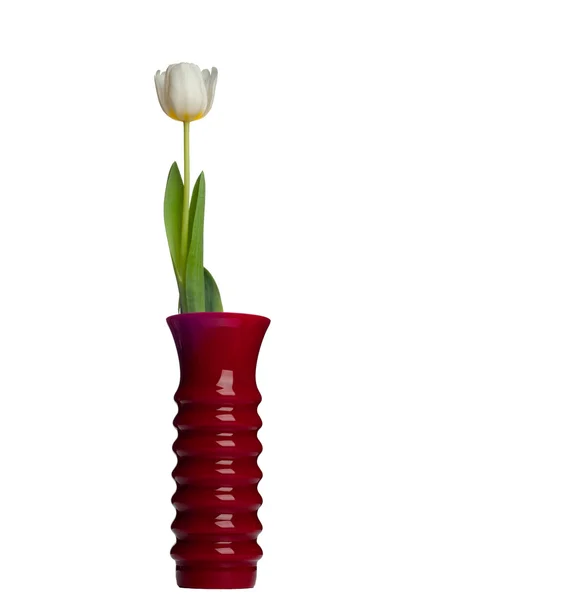 Fleur de tulipe printanière bouchent sur vert en bois — Photo