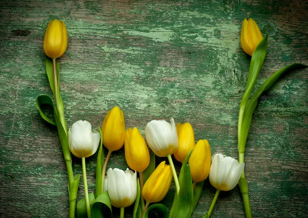 Biało -żółte tulipany na zielony Stół drewniany — Zdjęcie stockowe