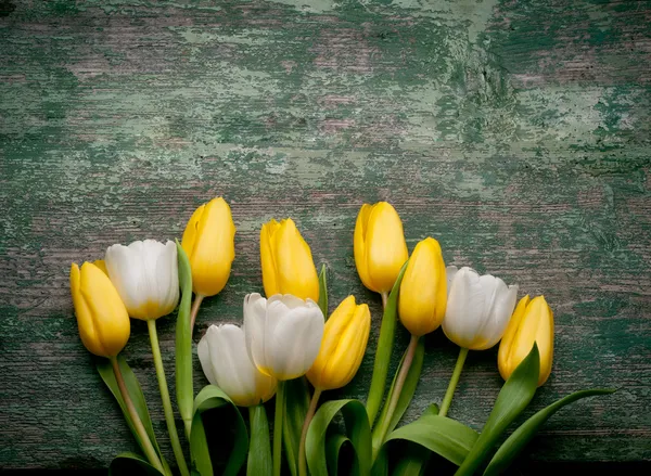 Flores de tulipas da Primavera close-up em verde de madeira — Fotografia de Stock