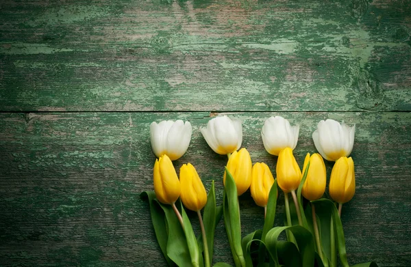 Spring Tulips flowers close up on green wooden — Stock Photo, Image