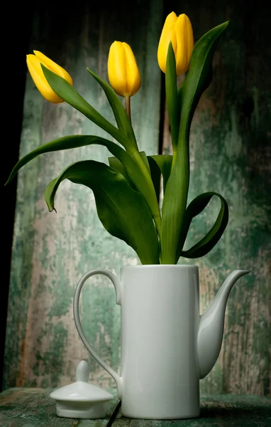 Spring Tulips flowers close up on green wooden — Stock Photo, Image