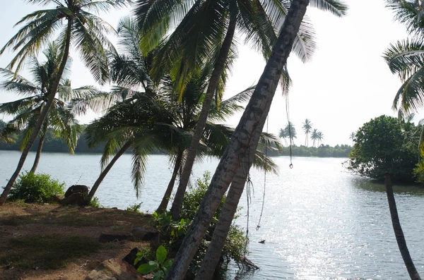 Belle plage sur l'île de Sri Lanka — Photo