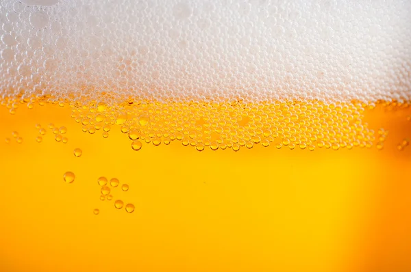 Light beer background — Stock Photo, Image