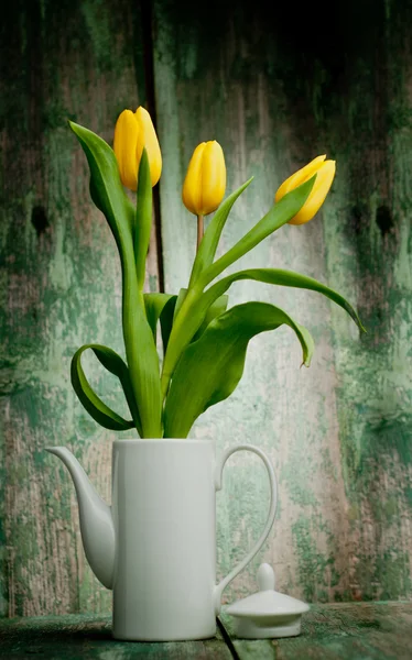 Primavera tulipas flores — Fotografia de Stock