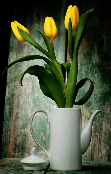 Tavaszi tulipán virágok — Stock Fotó