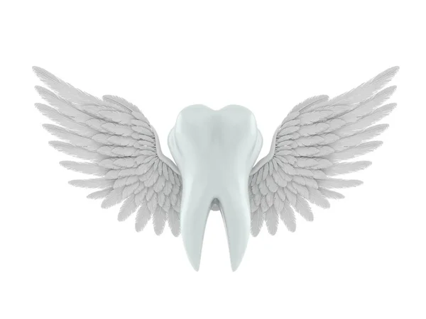 Tooth Angel Wings — Photo