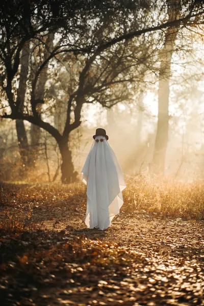 Cadılar Bayramı 'nda ormanda şapka takan beyaz hayalet yapraklı bir hayalet. Cadılar Bayramı konsepti — Stok fotoğraf