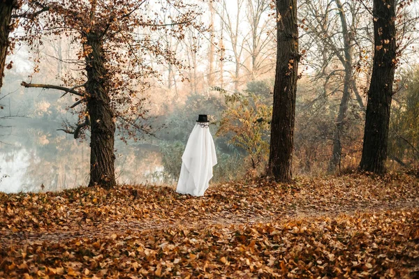 Cadılar Bayramı 'nda ormanda şapka takan beyaz hayalet yapraklı bir hayalet. Cadılar Bayramı konsepti — Stok fotoğraf