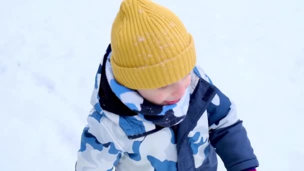 Et barn leger i en snedækket vinterpark. En lille dreng i fe-isskoven. Gå i vinterskoven. Udtryk for positive, virkelige lyse følelser, smil. – Stock-video