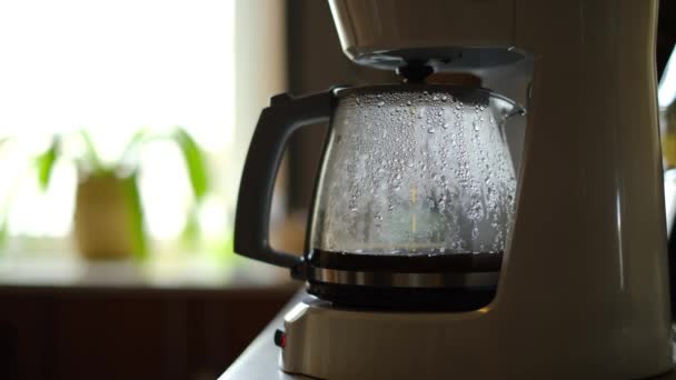 Morgenkaffee Langsam Tropft Gebrühter Kaffee Die Kaffeekanne Die Auf Der — Stockvideo