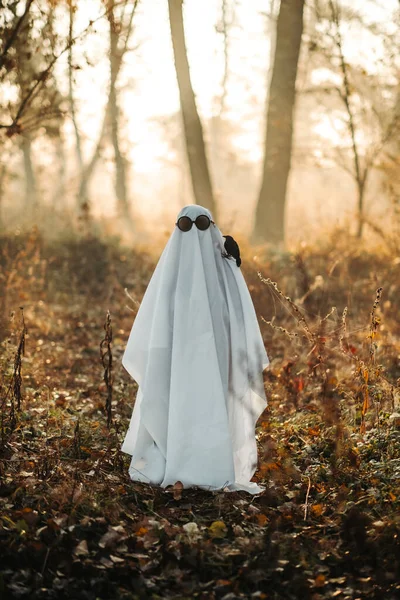 Fantasma Coberto Com Uma Folha Fantasmagórica Branca Usando Chapéu Floresta — Fotografia de Stock