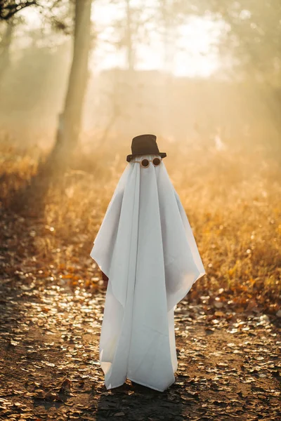 Fantasma Coberto Com Uma Folha Fantasmagórica Branca Usando Chapéu Floresta Fotos De Bancos De Imagens Sem Royalties