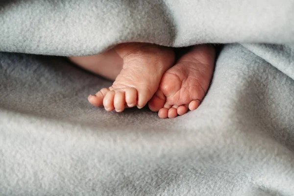 Pés Descalços Recém Nascido Bonito Cobertor Cinza Quente Infância Pés — Fotografia de Stock