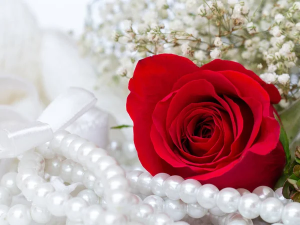 Close up of red rose on white lace and pearls dedorated around.