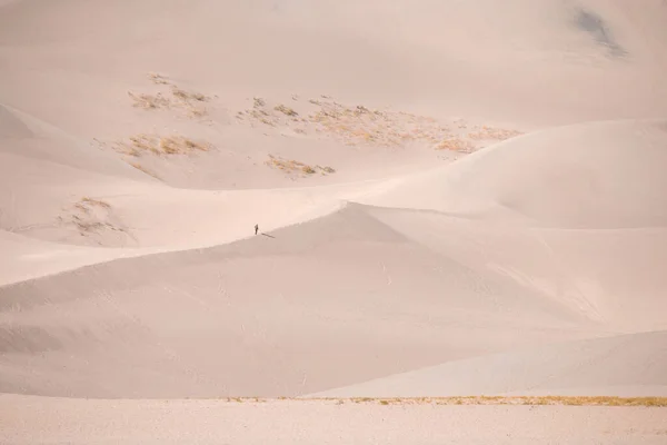 Great Sand Dunes National Park Presserve Het Najaar — Stockfoto