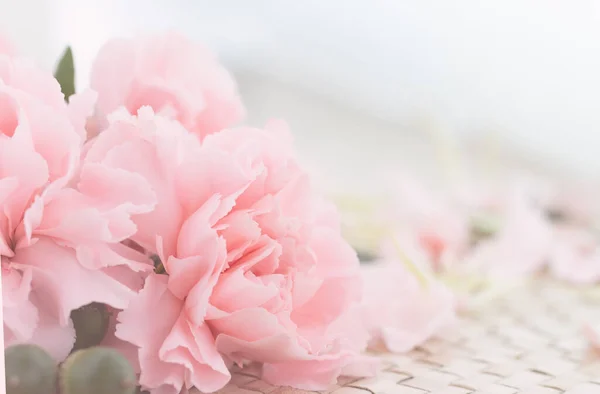 ピンク カーネーションの花ブーケ光ピンクの背景 ソフト フィルター — ストック写真