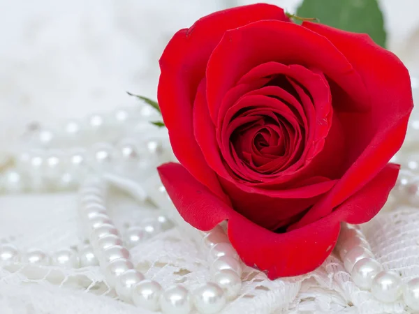 Gros Plan Rose Rouge Sur Dentelle Blanche Perles Dédorées Autour Photo De Stock