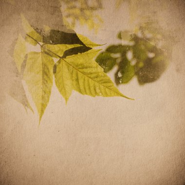 Kağıt doku, antika arka plan