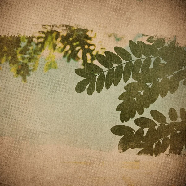 Grunge papíru textura, vintage pozadí — Stock fotografie