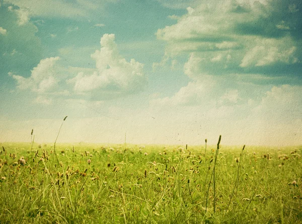 Grønn mark og blå himmel – stockfoto