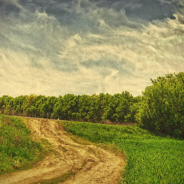 Campo verde e céu azul — Fotografia de Stock