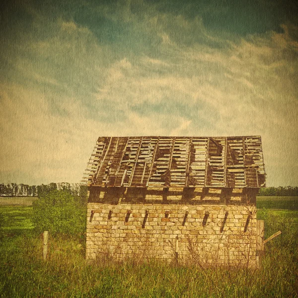 Groen veld en blauwe lucht — Stockfoto