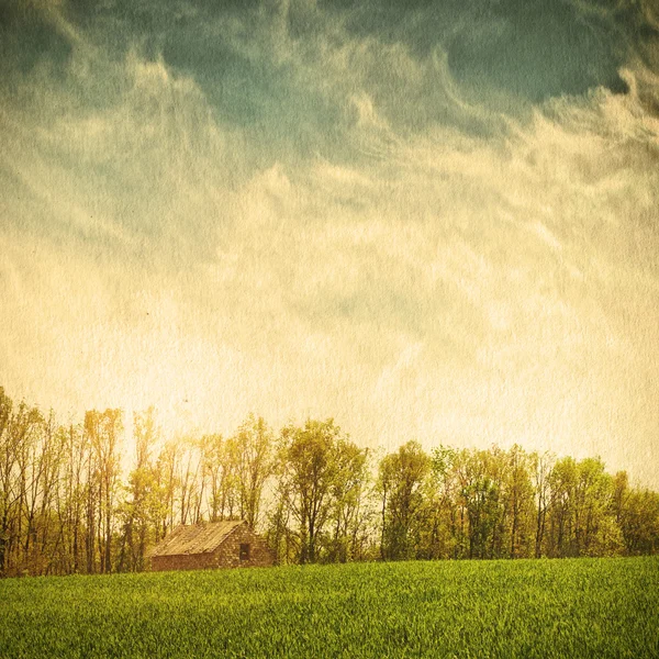 Campo verde e céu azul — Fotografia de Stock