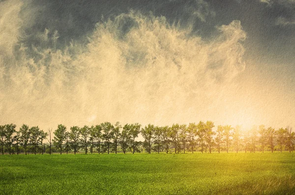 Green field and blue sky — Stock Photo, Image