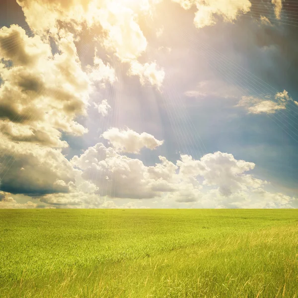 Green Meadow Landscape — Stock Photo, Image