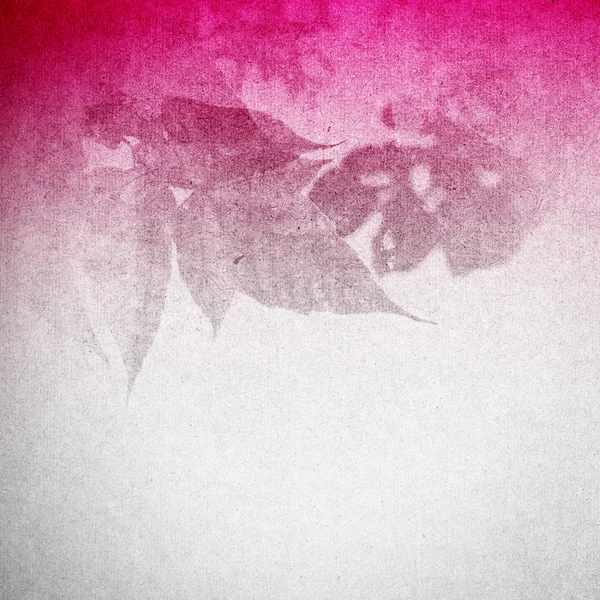 ピンクの自然の葉の背景 — ストック写真