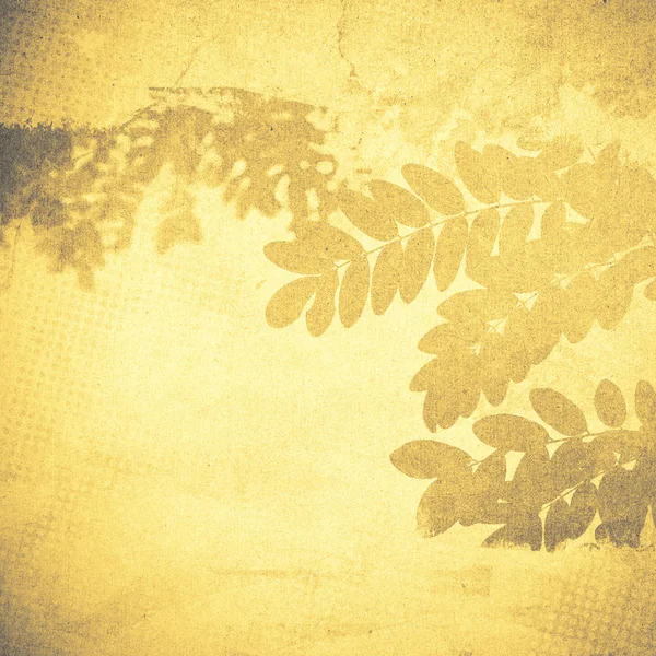 Yellow nature leaves background — Stock Photo, Image