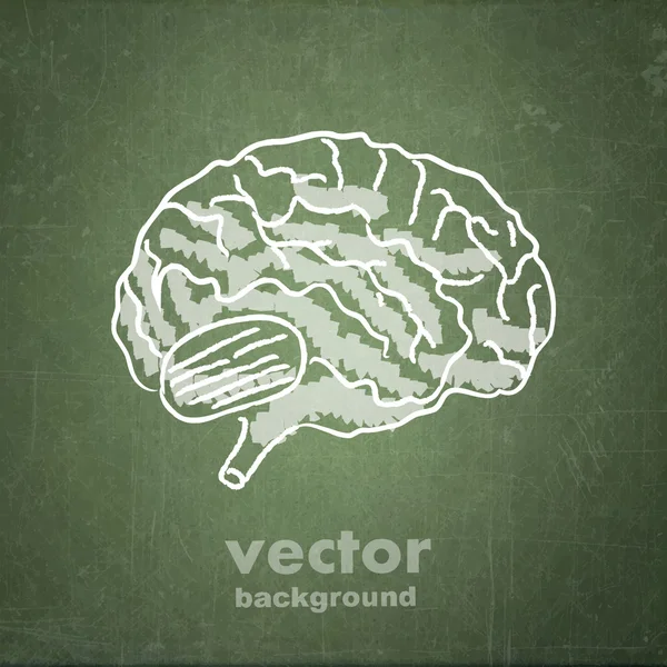 Esquisse de l'école du cerveau sur vert — Image vectorielle