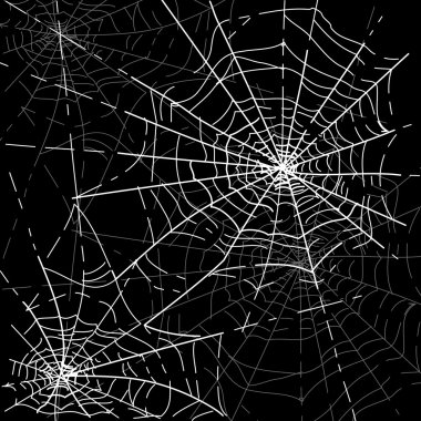 Halloween Spiders web clipart