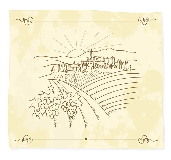 Vecchia vigna — Vettoriale Stock