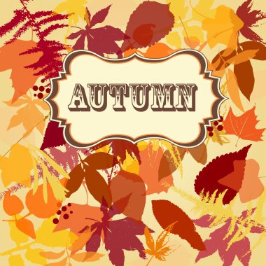 sonbahar yaprakları arka plan