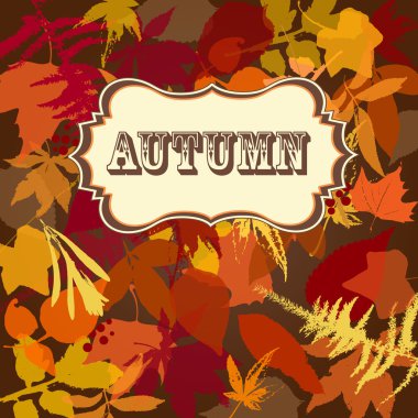 sonbahar yaprakları arka plan