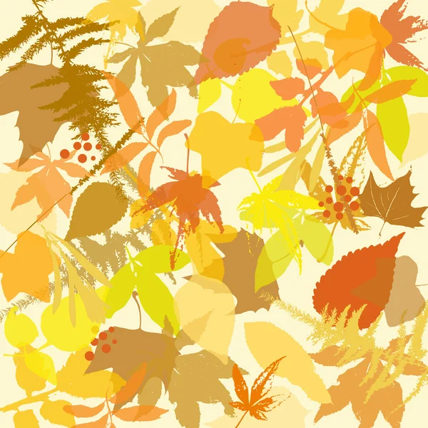 Hojas de otoño fondo — Vector de stock